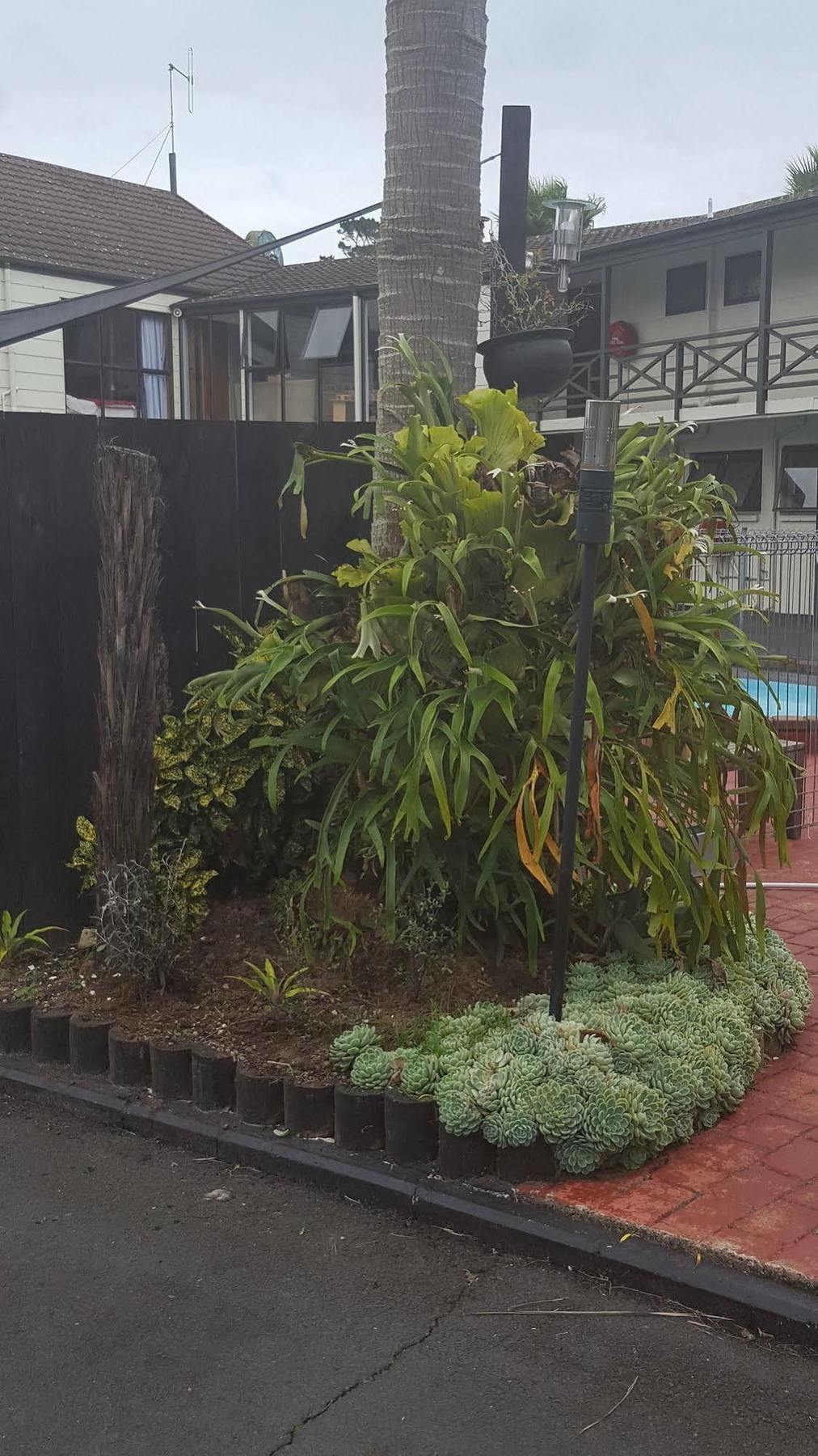 Walton Park Motor Lodge Warkworth Εξωτερικό φωτογραφία